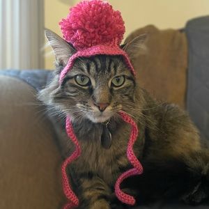 Pink Crochet Cat Hat
